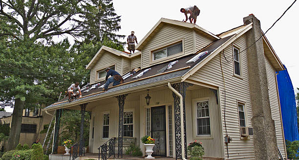 Best Roof Gutter Cleaning  in Menonee, MI